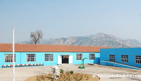 致10周年的伟德bv1964