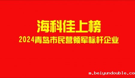伟德bv1964上榜！2024年青岛市民营领军标杆企业